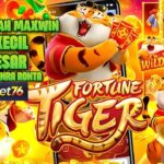 Raih Kesempatan Jackpot Besar dengan Akun Jackpot Anda